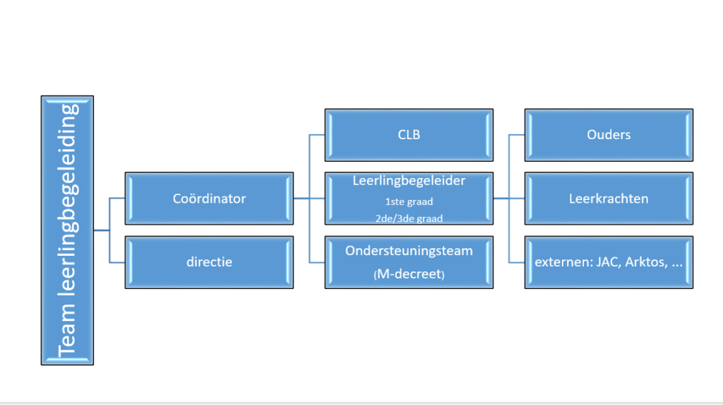 team leerlingbegeleiding